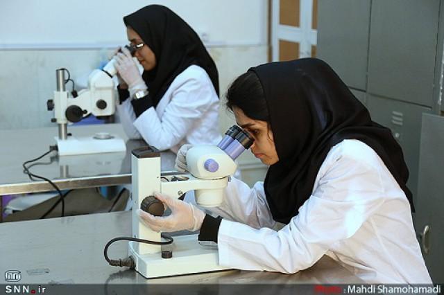 کلاس های عملی دانشجویان داروسازی دانشگاه علوم پزشکی شهید کلاس های عملی دانشجویان داروسازی دانشگاه علوم پزشکی شهید بهشتی از 17 خرداد شروع می گردد