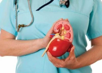 خبرنگاران مهمترین علل سرطان کلیه کدامند؟