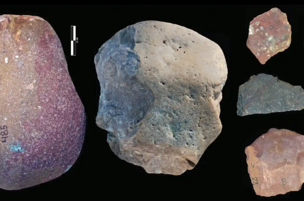 یک معمای 3 میلیون ساله؛ چه کسی این ابزار ها را ساخته است؟