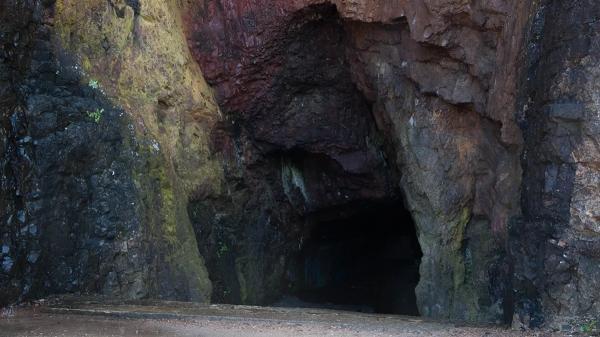 کشف غار لاسکو فرانسه به وسیله یک سگ و نقاشی های باستانی انسان!