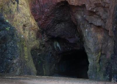 کشف غار لاسکو فرانسه به وسیله یک سگ و نقاشی های باستانی انسان!